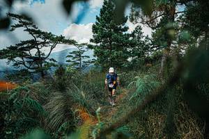 BIB: 
                            <button type="button" onclick="openModal(25258285)" class="btn btn-primary btn-sm float-right btn-popup" data-toggle="modal" data-target=".modal-high-quality">
                        <i class="fas fa-shopping-cart"></i> Add to Cart
                    </button>
                                            <button type="button" onclick="isThisMe(25258285, true)" class="btn btn-success btn-sm float-right btn-popup btn-isme hidden" data-toggle="tooltip" data-placement="bottom" title="นี่คือรูปของคุณใช่ไหม คลิกที่นี่เพื่อเอาเข้าอัลบั้ม">
                        <i class="fas fa-plus"></i> Add to album
                    </button>
                    <button type="button" onclick="isThisMe(25258285, false)" class="btn btn-warning btn-sm float-right btn-popup btn-isnotme hidden">
                        <i class="fas fa-ban"></i> Remove from album
                    </button>